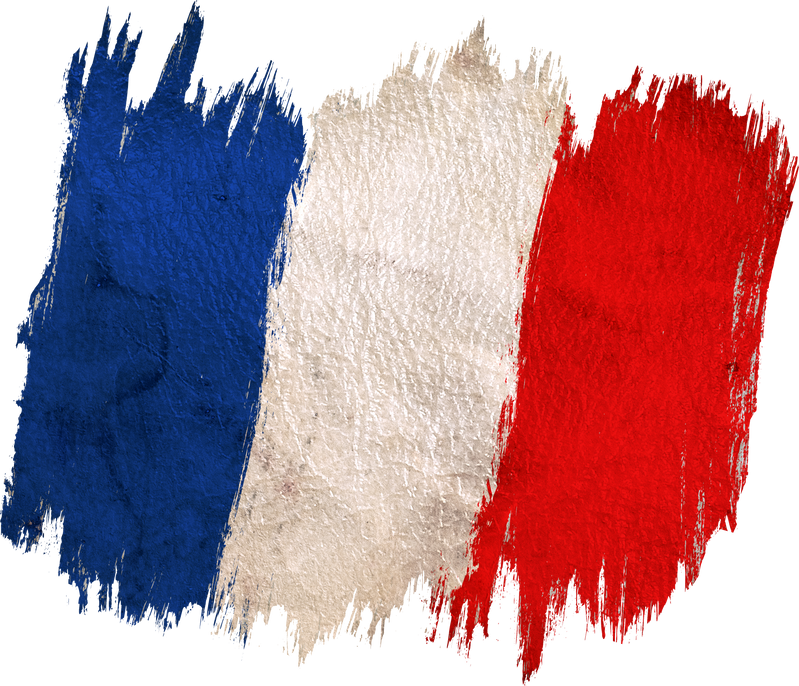 Vintage France Flag.